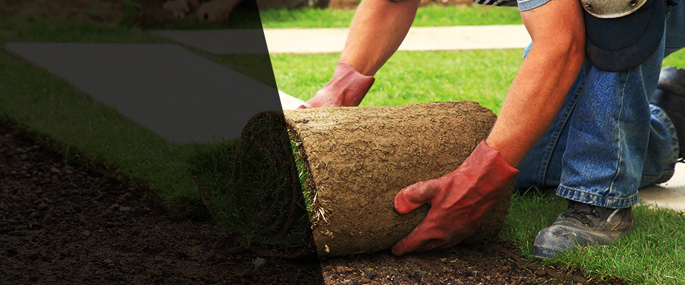 Waupun Landscapers